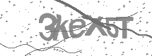 visual captcha